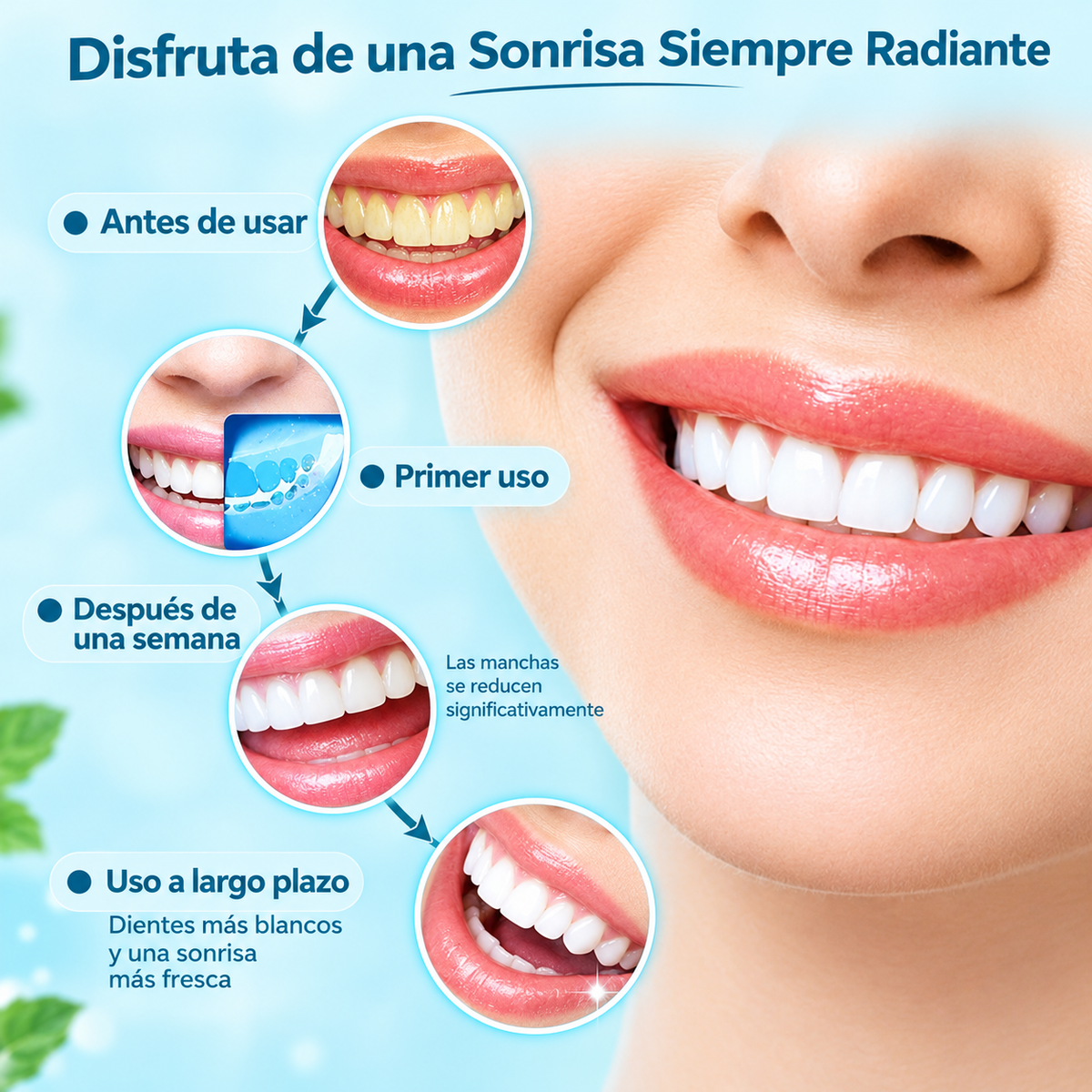 Irrigador Bucal Portátil Zelvana®